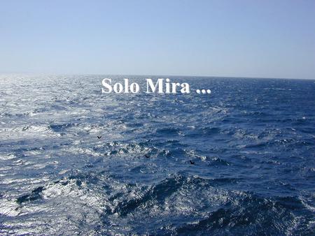 Solo Mira ....