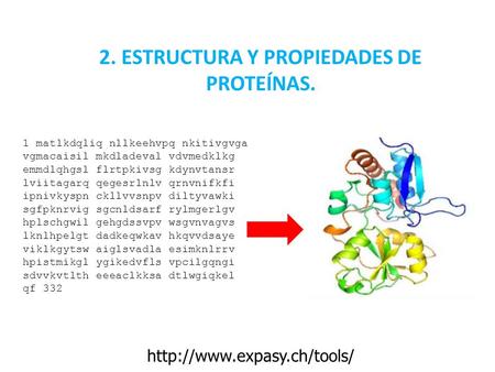 2. ESTRUCTURA Y PROPIEDADES DE PROTEÍNAS.