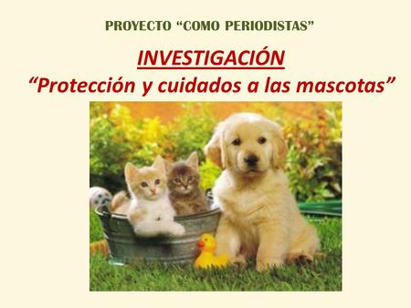 INVESTIGACIÓN “Protección y cuidados a las mascotas”