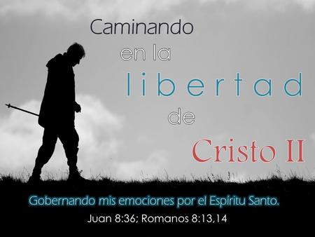 Caminando en la l i b e r t a d de Cristo II