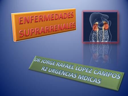 DR JORGE RAFAEL LOPEZ CAMPOS