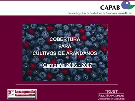 COBERTURA PARA CULTIVOS DE ARANDANOS Campaña 2006 - 2007 Asesores en Seguros.