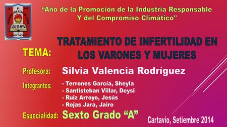 “Año de la Promoción de la Industria Responsable