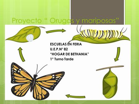 Proyecto “ Orugas y mariposas”
