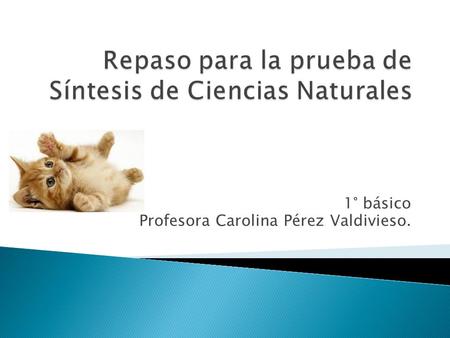 1° básico Profesora Carolina Pérez Valdivieso..