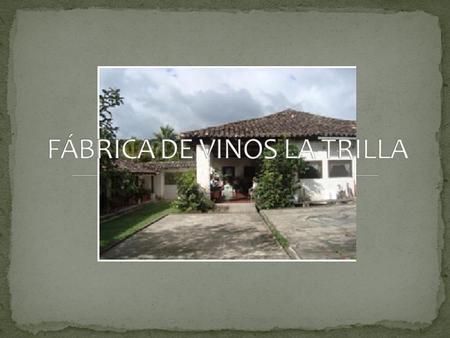 La Trilla es una empresa productora de vinos ubicada en el municipio de Güinope, en El Paraíso. La plaga de ‘mosca’ en la década de los 70 casi acaba.