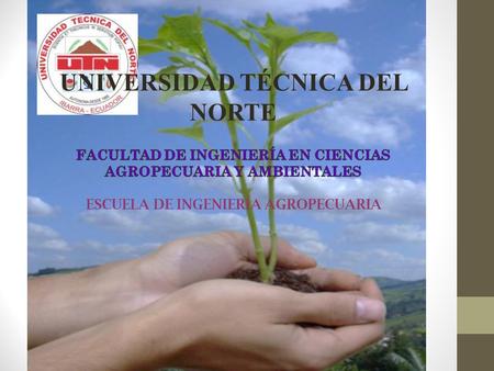 UNIVERSIDAD TÉCNICA DEL NORTE