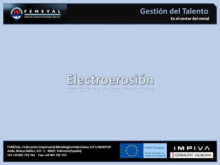 En el sector del metal Gestión del Talento FEMEVAL, Federación Empresarial Metalúrgica Valenciana. CIF G 46102539 Avda. Blasco Ibáñez, 127- E 46022 Valencia.
