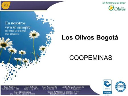 Los Olivos Bogotá COOPEMINAS ISO 9001.