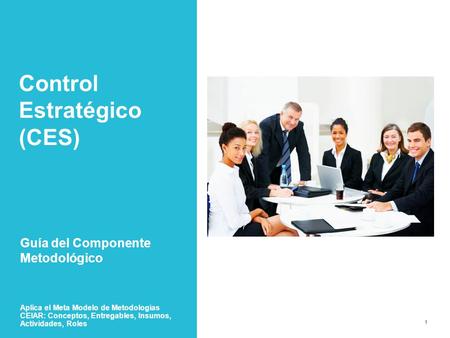 Control Estratégico (CES)