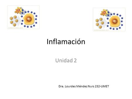 Inflamación Unidad 2 Dra. Lourdes Méndez Nurs 232-UMET.