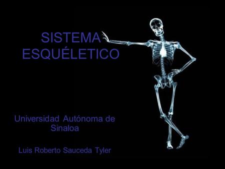 Universidad Autónoma de Sinaloa Luis Roberto Sauceda Tyler