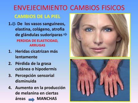 ENVEJECIMIENTO CAMBIOS FISICOS