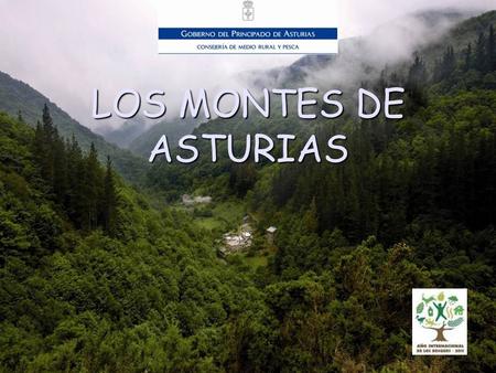 Dirección Xeneral de política Forestal LOS MONTES DE ASTURIAS.