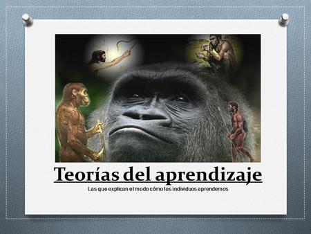 MARIANA ZAPATA MERCEDES LLERENA  SUSANA RUANO RICARDO TIPÁN ELENA GONZÁLEZ