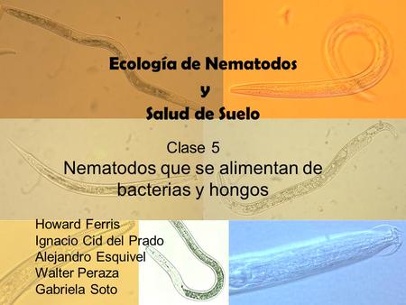 Ecología de Nematodos y Salud de Suelo Clase 5 Nematodos que se alimentan de bacterias y hongos Howard Ferris Ignacio Cid del Prado Alejandro Esquivel.
