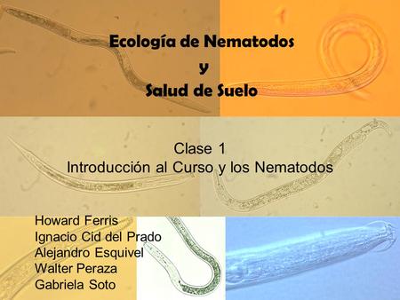 Introducción al Curso y los Nematodos
