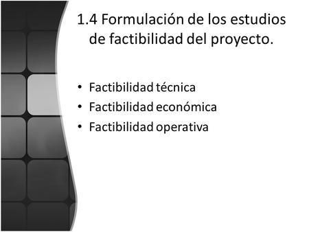 1.4 Formulación de los estudios de factibilidad del proyecto.