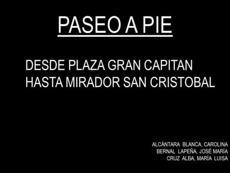 PASEO A PIE DESDE PLAZA GRAN CAPITAN HASTA MIRADOR SAN CRISTOBAL