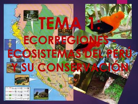 TEMA 1: ECORREGIONES - ECOSISTEMAS DEL PERÚ Y SU CONSERVACIÓN