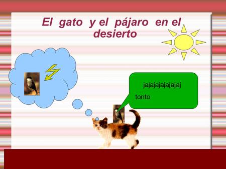 El gato y el pájaro en el desierto jajajajajajajaj tonto.