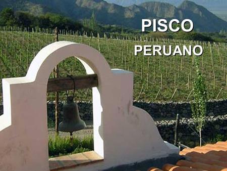 PISCO PERUANO PISCO PERUANO.