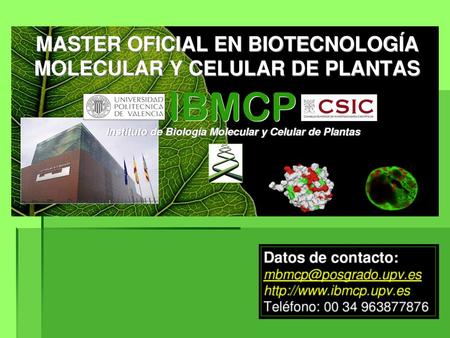 OBJETIVOS - Generar el conocimiento necesario para comprender los mecnismos que subyacen en los procesos de desarrollo de las plantas y su interacción.