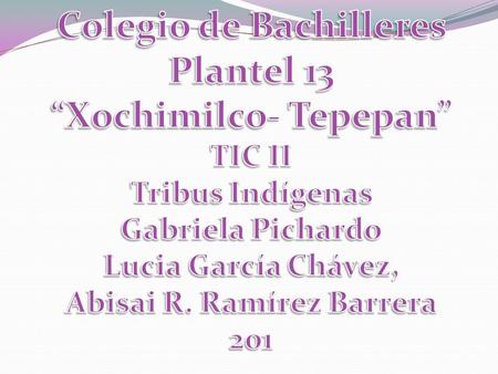 Los pueblos indígenas de México son las colectividades que asumen una identidad étnica sobre la base de su cultura, sus instituciones y una historia.