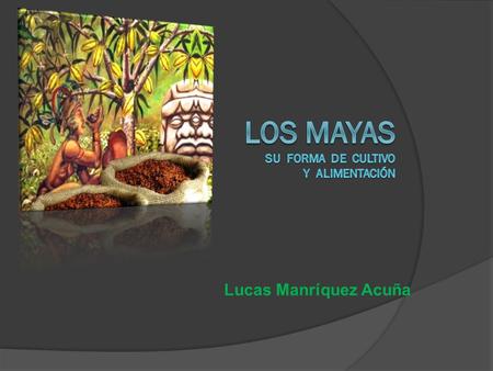 Lucas Manríquez Acuña. Formas de cultivo  Terrenos eran comunes  Trabajaban la tierra: MILPA - CONUCOS - TERRAZAS  Para evitar el agotamiento de los.