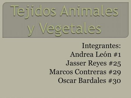 Tejidos Animales y Vegetales