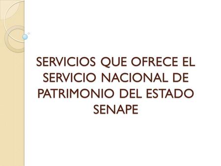 El SENAPE, a través de sus sistemas informáticos, brinda los siguientes servicios: