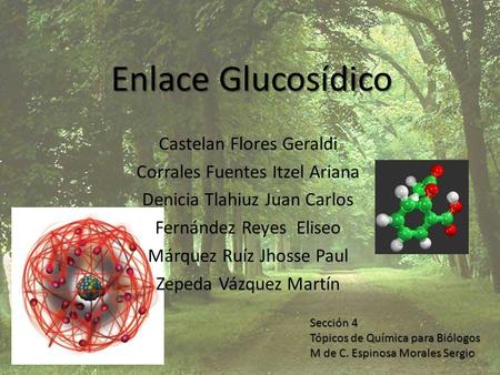 Enlace Glucosídico Castelan Flores Geraldi