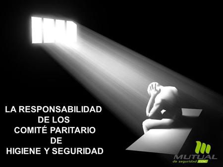 LA RESPONSABILIDAD DE LOS COMITÉ PARITARIO DE HIGIENE Y SEGURIDAD.