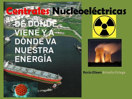 Centrales Nucleoeléctricas