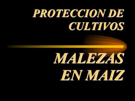 PROTECCION DE CULTIVOS MALEZAS EN MAIZ