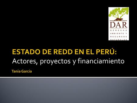 ESTADO DE REDD EN EL PERÚ: Actores, proyectos y financiamiento.