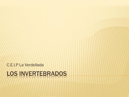 C.E.I.P La Verdellada Los invertebrados.