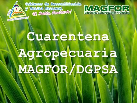 Cuarentena Agropecuaria MAGFOR/DGPSA