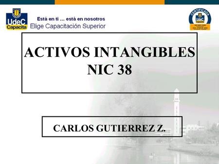 ACTIVOS INTANGIBLES NIC 38