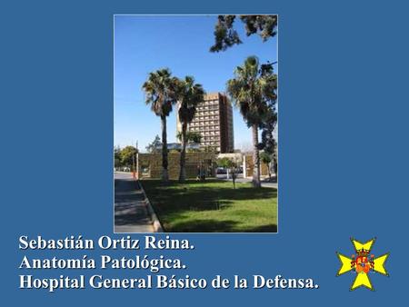 Sebastián Ortiz Reina. Anatomía Patológica. Hospital General Básico de la Defensa.
