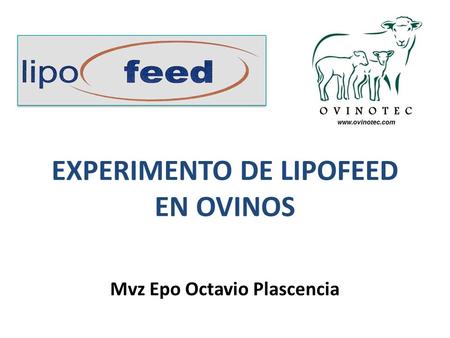EXPERIMENTO DE LIPOFEED EN OVINOS
