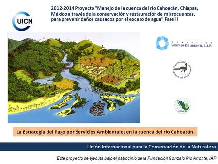 2012-2014 Proyecto “Manejo de la cuenca del río Cahoacán, Chiapas, México a través de la conservación y restauración de microcuencas, para prevenir daños.