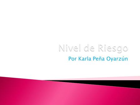 Nivel de Riesgo Por Karla Peña Oyarzún.