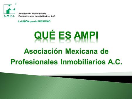 Ser un organismo privado no gubernamental que agrupe a personas físicas profesionales que presten sus servicios inmobiliarios en México bajo sus Estatutos.