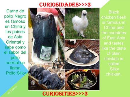 Black chicken flesh is famous in China and the countries of East Asia and tastes like the taste of plain chicken is called Silky chicken. Carne de pollo.