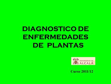 DIAGNOSTICO DE ENFERMEDADES DE PLANTAS