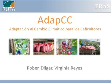 AdapCC Adaptación al Cambio Climático para los Caficultores