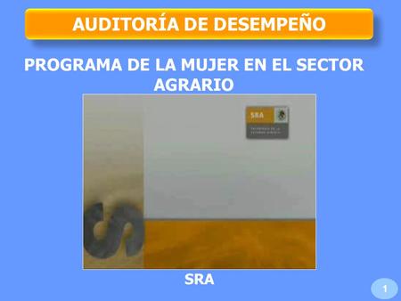 AUDITORÍA DE DESEMPEÑO PROGRAMA DE LA MUJER EN EL SECTOR AGRARIO