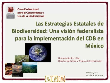 Comisión Nacional para el Conocimiento y Uso de la Biodiversidad México, D.F. Noviembre 2009 Hesiquio Benítez Díaz Director de Enlace y Asuntos Internacionales.