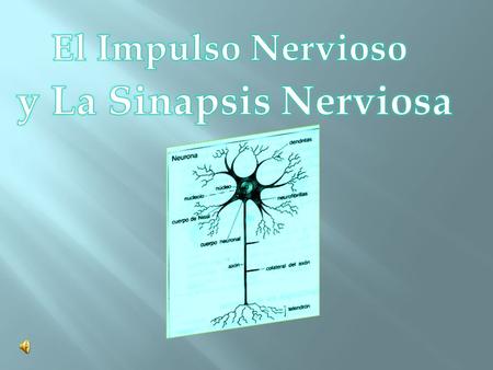 El Impulso Nervioso y La Sinapsis Nerviosa.